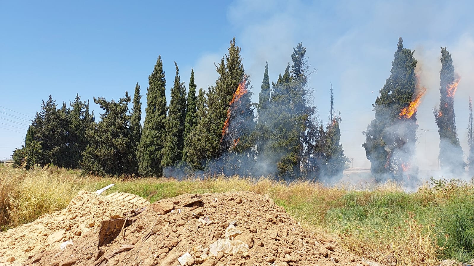 WhatsApp Image 2022-06-10 at 2.28.41 PM.jpeg